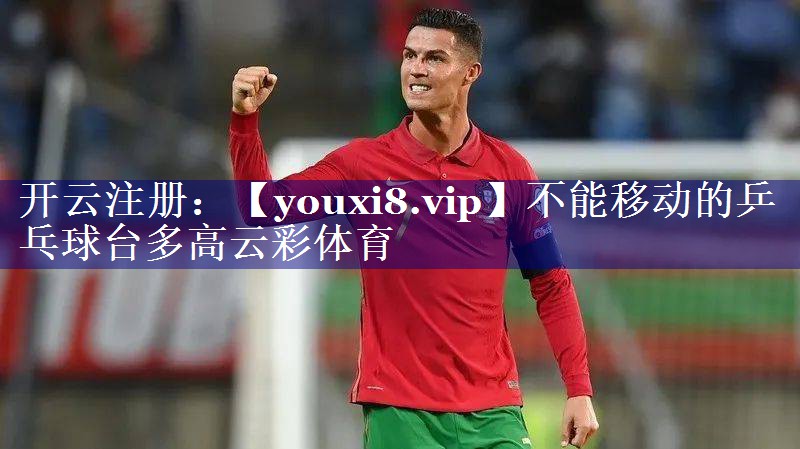 不能移动的乒乓球台多高云彩体育